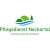 Logo Pflegedienst Neckar-Alb Ambulanter Pflegedienst