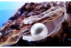 Logo Photodesign-Eye-D