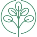 Physio Vital Dresden Striesen Dresden