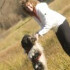 Logo PhysioFit4Dog Michaela Ender