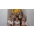 Logo Physiotherapie am Nordbad Dresden Neustadt