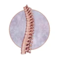 Logo Reichel Physiotherapie