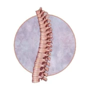 Logo Reichel Physiotherapie