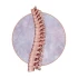 Logo Physiotherapie Reichel