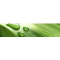 Logo Physiotherapie Saarlouis Mitte GmbH