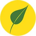 Logo PhytoComm