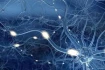 Logo PI Psychologisches Institut Inh. Anke Kaupp