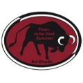 Logo Picasso