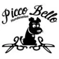 Logo Picco Bello Hundesalon