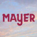 Logo Piet&auml;t Mayer GmbH