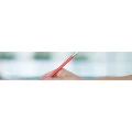 Logo Walsch Promotion