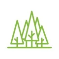 Logo Pinus Forstb&uuml;ro & Forstservice