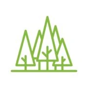 Logo Pinus Forstbüro & Forstservice
