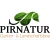 Logo PIRNATUR Garten&Landschaftsbau