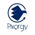 Logo Pixergy