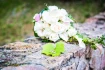 Logo Pixty Fotografie