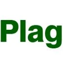 Logo Plag Sonderschalungsbau GmbH