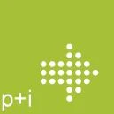 Logo Plan + Impuls GmbH Marktforschung