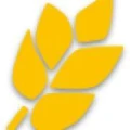 Logo Plange KG, Georg
