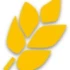 Logo Plange KG, Georg Plangemühle