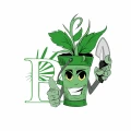 Plantplanet Growshop Nordhausen