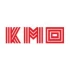 Logo Planungsgruppe kmo Ing. Gesellschaft mbH Ingenieurbetrieb