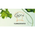 Planwagenfahrten Katzenbeisser Carrus Lauffen