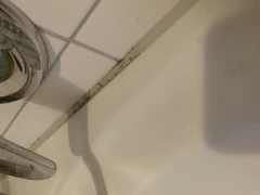 Poeler G&auml;ste- und Ferienhaus-Service Heike Koth Insel Poel