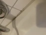 Logo Poeler Gäste- und Ferienhaus-Service Heike Koth
