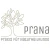 Logo PraNa - Praxis f&uuml;r Naturheilkunde Gina Hoffmann