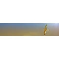Logo Praxis Dr. Christa Beutner