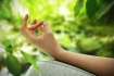 Logo Praxis für Ayurvedamedizin & Naturheilkunde und Shanti-Yogaschule