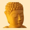 Logo Praxis f&uuml;r Chinesische Medizin Michael Huber