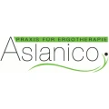 Logo Praxis für Ergotherapie Aslanico