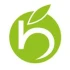 Logo Praxis für Ergotherapie Britta Hansen