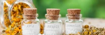 Logo Praxis f&uuml;r Klassische Hom&ouml;opathie Heilpraktiker