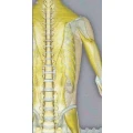 Praxis f&uuml;r Naturheilkunde und Osteopathie J&ouml;rg Frielinghaus Hilders