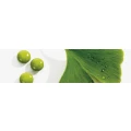 Logo Meyer, Thomas