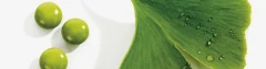 Logo Praxis für Naturheilverfahren, Meyer Manuela & Thomas