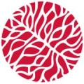 Logo Labitzke, Christine Dr.med.