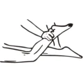 Praxis f&uuml;r Physiotherapie S&ouml;ren M&uuml;nzenberger Bensheim