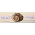 Praxis P&Auml;.PSY Stockdorf