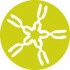 Logo Praxisgemeinschaft Dr.med. Ursula Duschl und Arlette Schwörbel