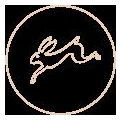 Logo Weisser Hase