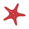 Logo Preuss Knorr GbR