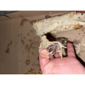 Prima Pizza Kempten