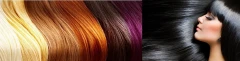 Logo Princess Dream Extensions