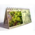 Fotokalender
