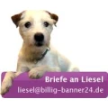 Logo billig-banner24.de Knud Hagedorn & Niko Albers GbR