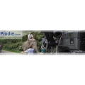 Logo ProDie Programm Produktions Dienst GmbH